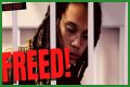 Understanding Griner Gender: A Comprehensive Exploration